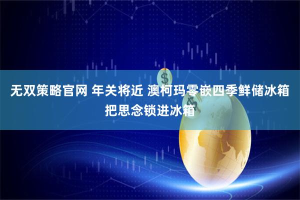 无双策略官网 年关将近 澳柯玛零嵌四季鲜储冰箱把思念锁进冰箱