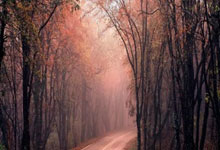 股票开户需要带什么证件:股票交易怎样在手机上开户-商务部新闻发言人就中美伦敦框架有关情况答记者问